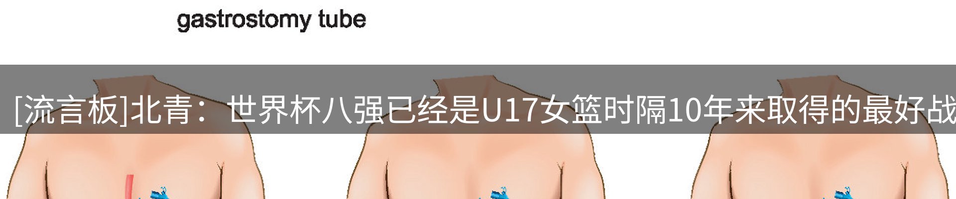 球盟会要闻